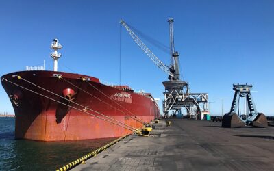 Rekordowy masowiec w Porcie w Gdańsku. Co przywiózł?