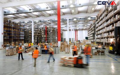 Najnowocześniejsze centrum dystrybucji książek w Europie