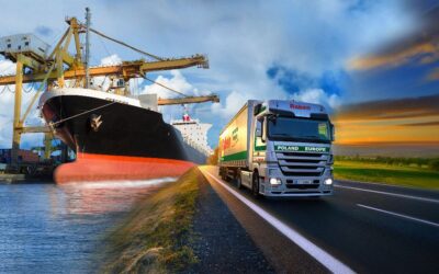 Polskie jabłka podbijają świat