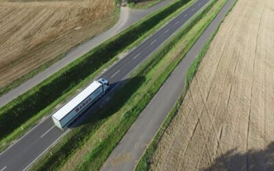 Wpływ trendów rynkowych na kondycję TSL