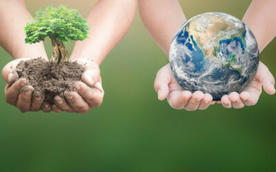 Brambles wśród trzech najlepszych zrównoważonych firm na świecie