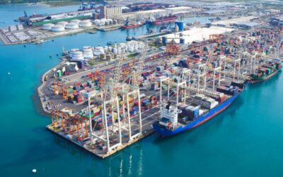 Koper opiera się koronawirusowi