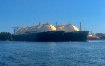 Zwolnienie z myta w Niemczech