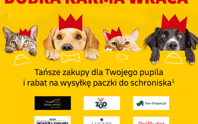 Dobra karma wraca – październik miesiącem dbania o zwierzęta
