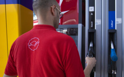 Dwa razy więcej OnTurtle